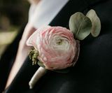 Residential Elopements:  Pretty in Pink Elopement