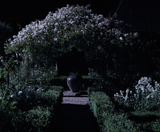 Fête Floral Summer Series: Midnight in the Garden of Good & Evil