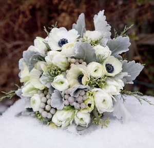 Residential Elopements:  The Winterlude Elopement